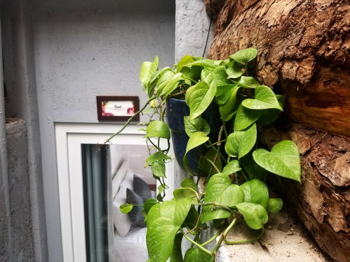 Apartmán Ribe'S House Dalat Exteriér fotografie