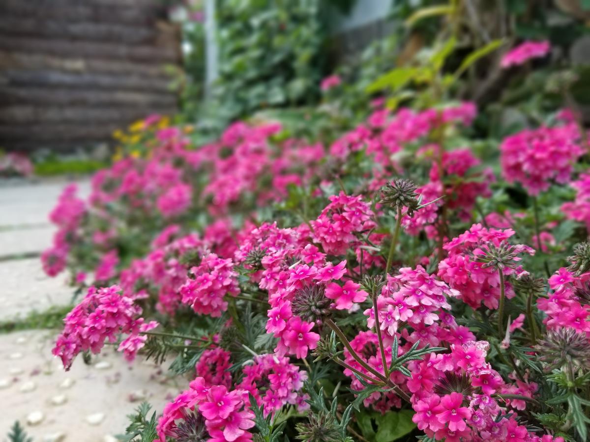 Apartmán Ribe'S House Dalat Exteriér fotografie