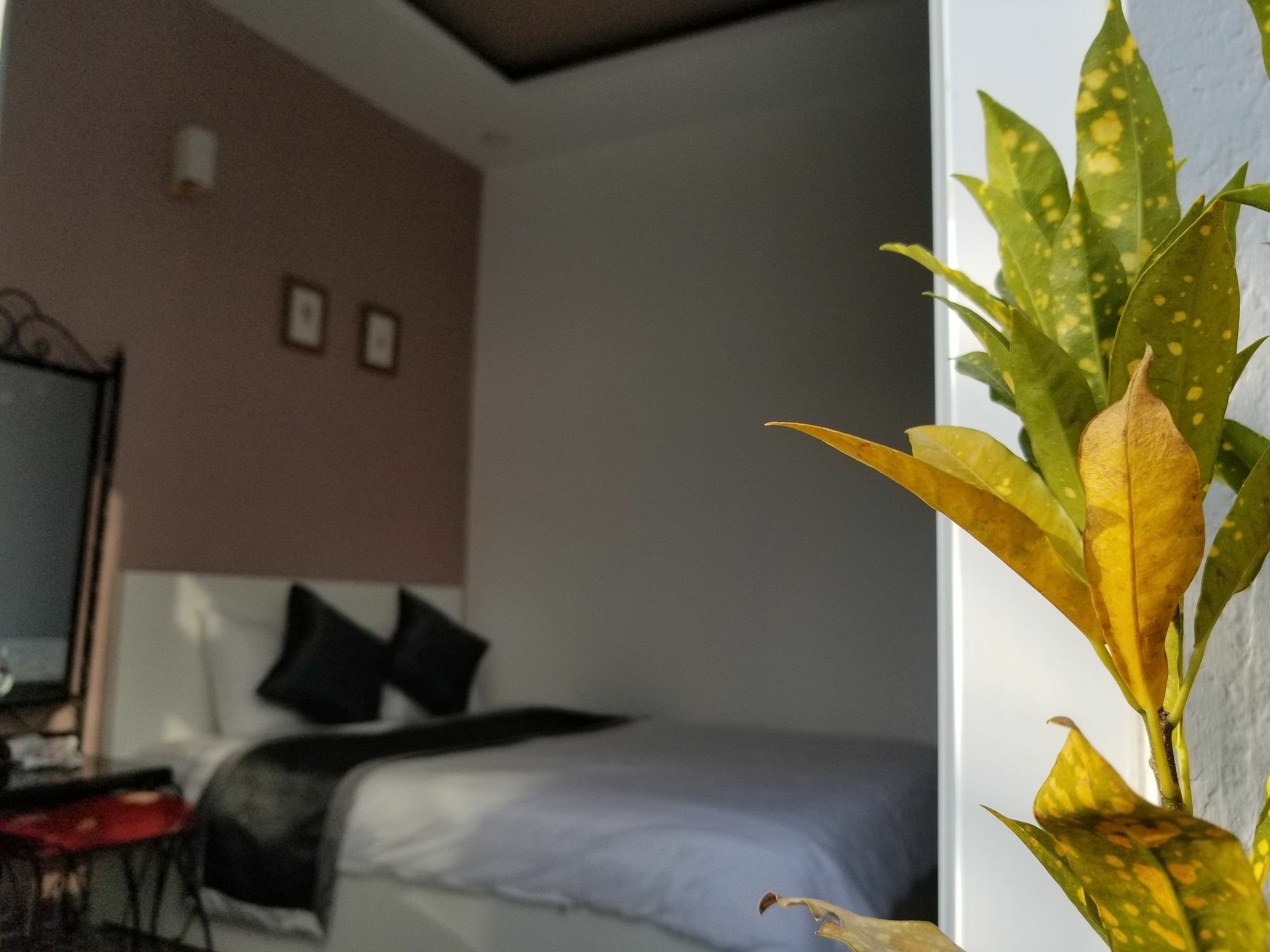 Apartmán Ribe'S House Dalat Exteriér fotografie